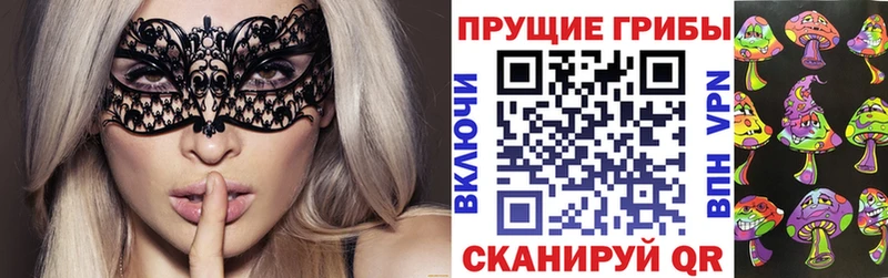 Галлюциногенные грибы Psilocybine cubensis  Татарск 